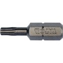 BITY 1/4"X25 MM TORX T10 10 SZT